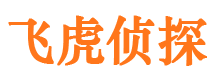 凤翔市场调查